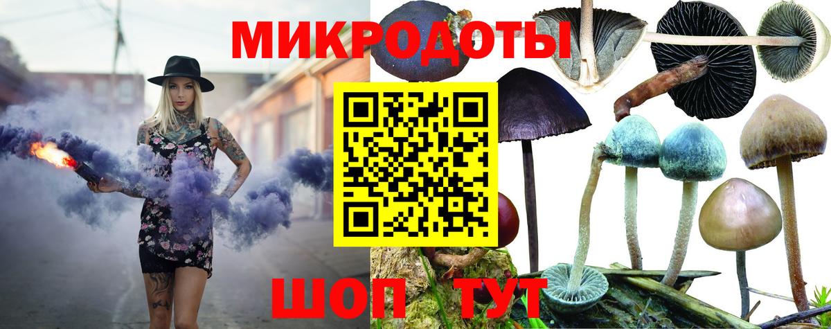 Рыбинск  Псилоцибиновые грибы GOLDEN TEACHER  Вход с VPN  Галлюциногенные грибы Cubensis 