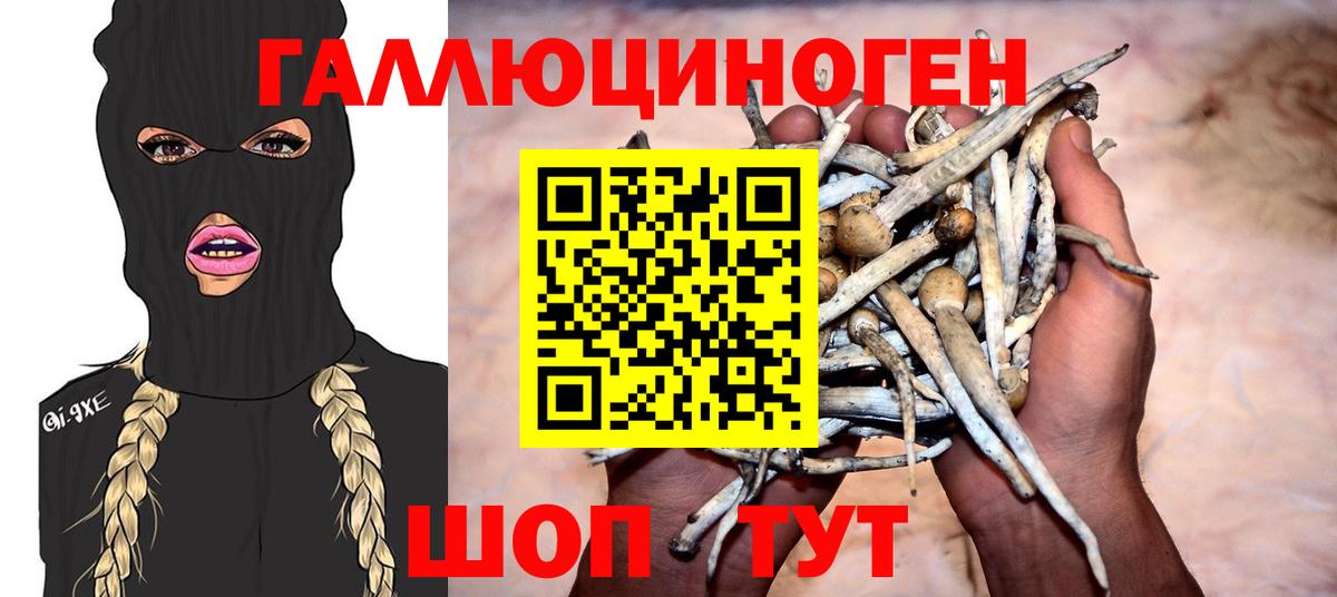 Галлюциногенные грибы GOLDEN TEACHER Рыбинск